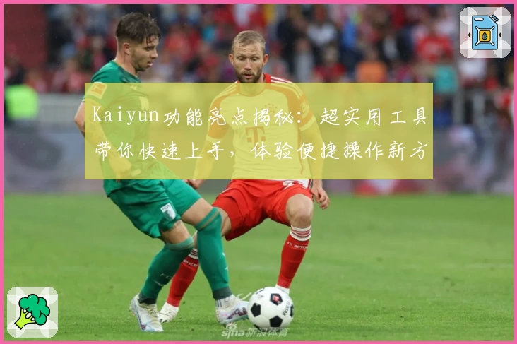 Kaiyun功能亮点揭秘：超实用工具带你快速上手，体验便捷操作新方式
